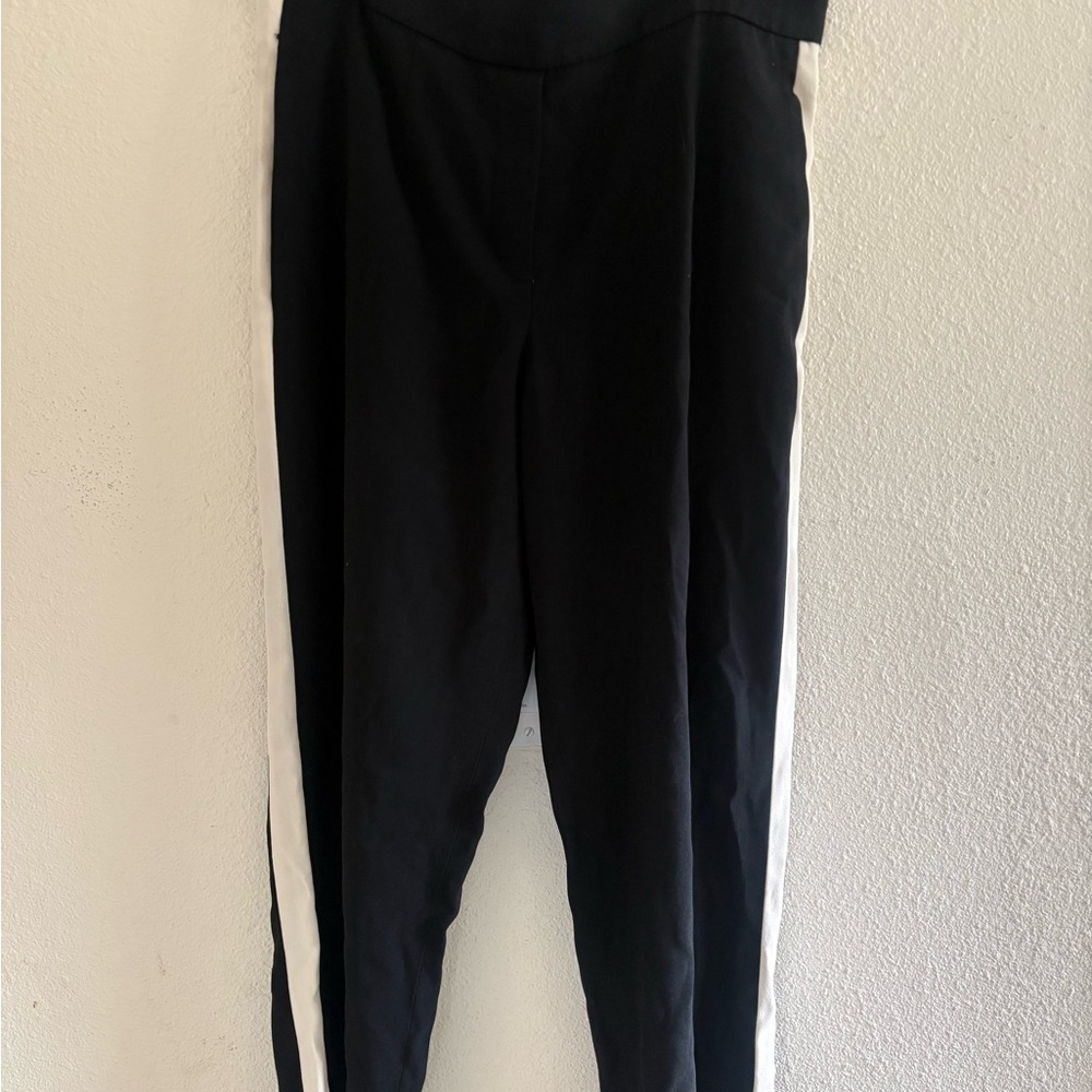 Aritzia Babaton Dexter Pant - Picture 2 of 5
